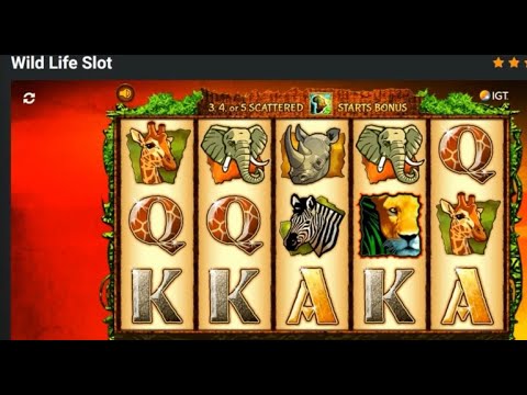 Online Casino Wild Life Slot Machine Gambling