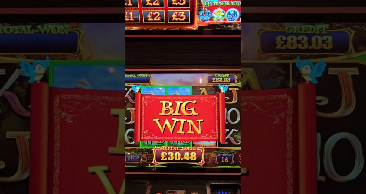 Wish Upon a Jackpot Wild Reels & Gamble!