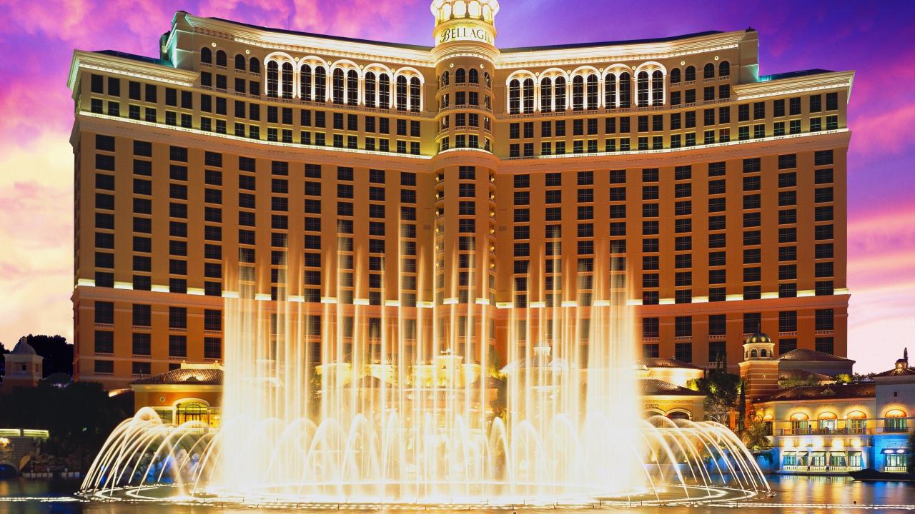 Exploring the Exciting World of Red Dog Casino