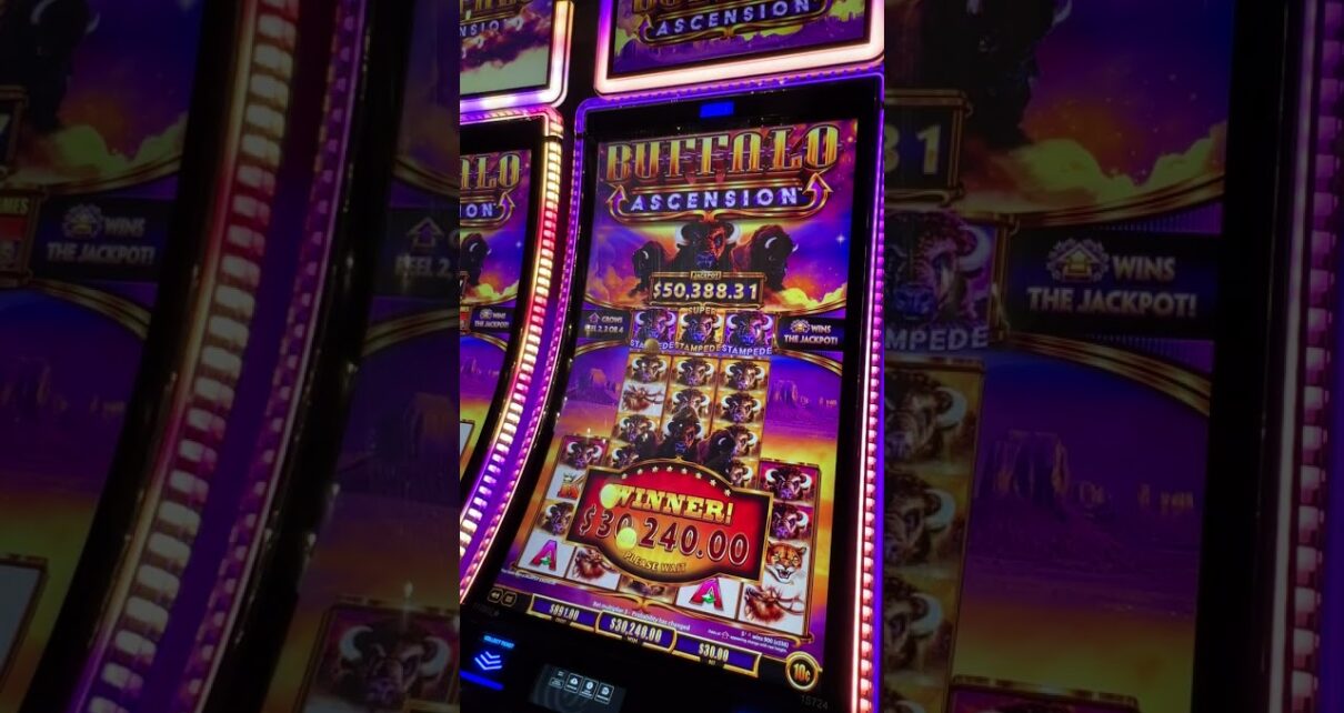 BIGGEST JACKPOT EVER ON BUFFALO Ascension #casino #buffalo #lasvegas