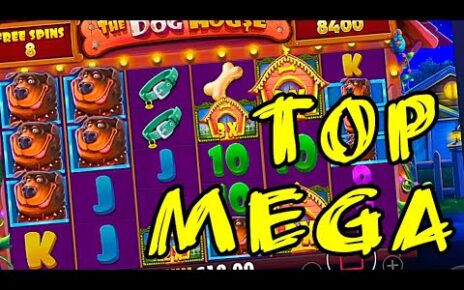 Dog House ? FRESH TOP MEGA, BIG, MAX WINS IN ONLINE CASINO ? BEST SLOTS ? ONLINE CASH GAMES