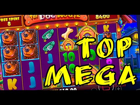 Dog House ? FRESH TOP MEGA, BIG, MAX WINS IN ONLINE CASINO ? BEST SLOTS ? ONLINE CASH GAMES