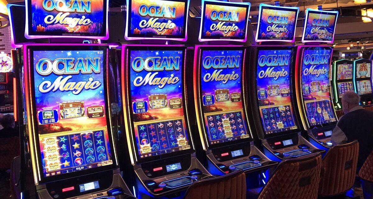 Discover the Wild World of Play Croco Casino