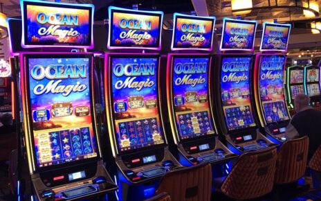Discover the Wild World of Play Croco Casino