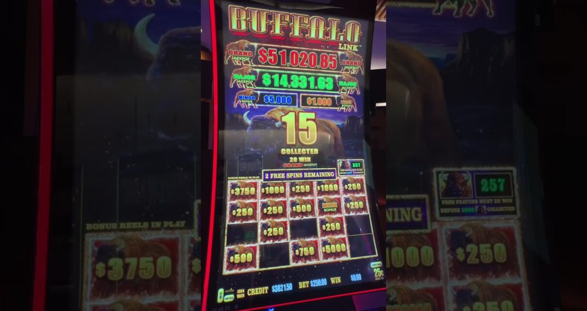 Massive Buffalo Jackpot Hand Pay #casino #slots #gambling