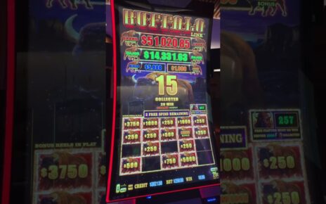 Massive Buffalo Jackpot Hand Pay #casino #slots #gambling