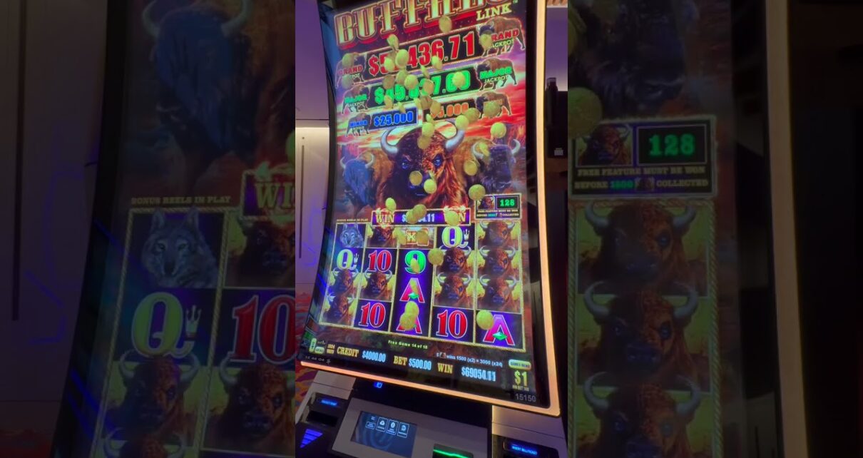 The Biggest Jackpot Ever on Buffalo Link #casino #slots #gambling