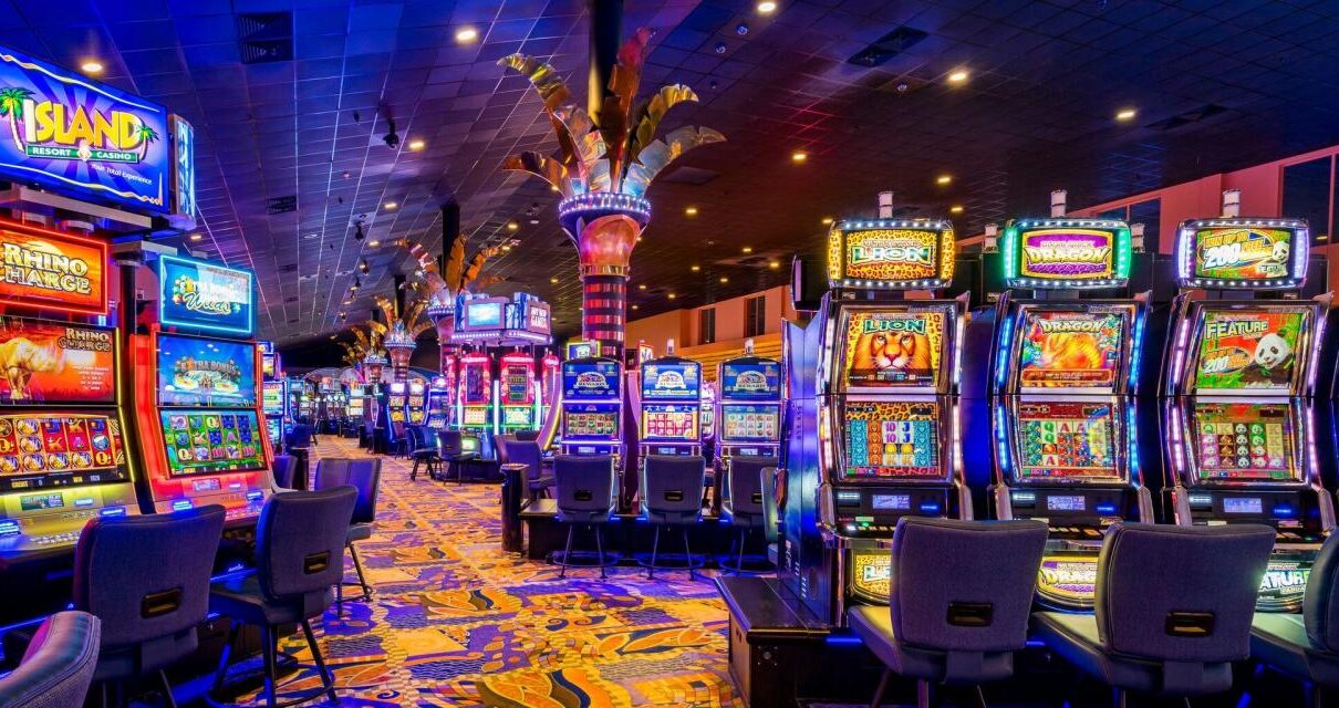 Exploring the Exciting World of Dingo Casino EU