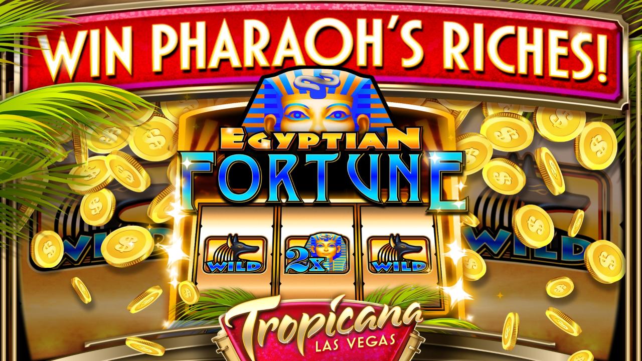 Discover the Luxurious World of Starda Casino