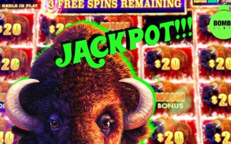 BUFFALOOOO JACKPOT!!! #LasVegas #Casino #SlotMachine