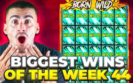 MAX WIN & MUCH to a greater extent than! Top 5 Biggest Wins of the Week 44