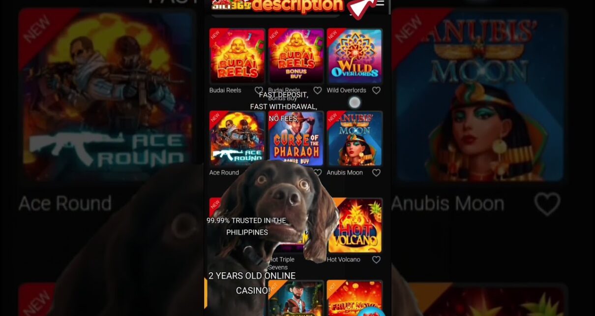 THE BEST ONLINE CASINO!
