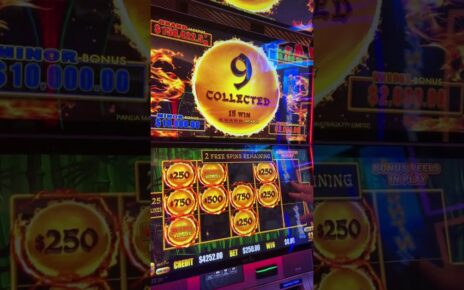 You Won’t Believe What 0 Bet Pays! #casino #slots #gambling