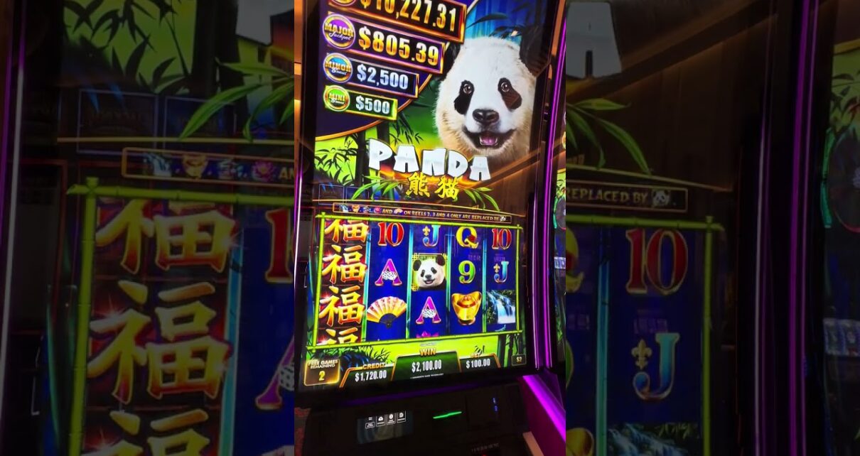 Tickle The Panda For A Massive Win #slots #casino #gaming