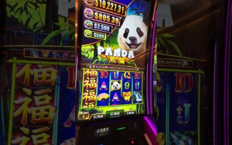 Tickle The Panda For A Massive Win #slots #casino #gaming