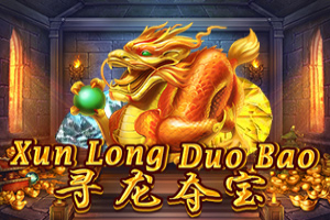 Xun Long Duo Bao