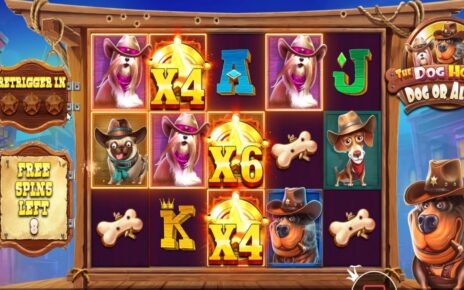 THE DOG HOUSE DOG OR ALIVE EPIC GAMEPLAY BONUS BUY ONLINE CASINO ONLINE SLOT