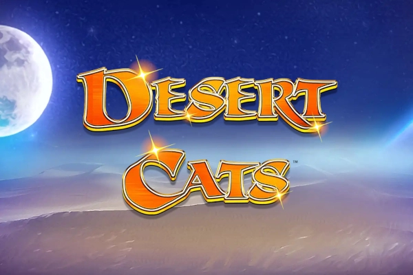 Gatos do deserto
