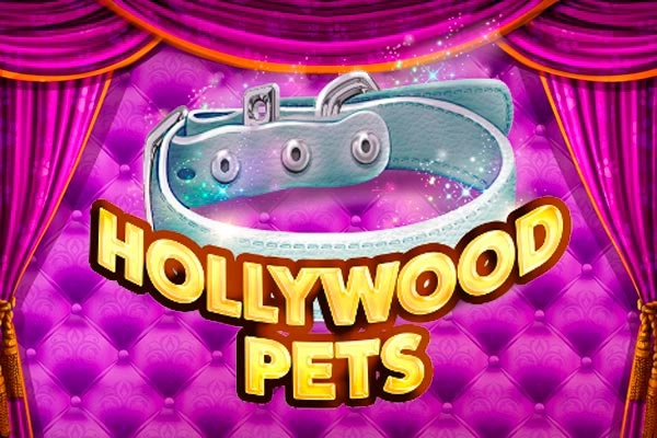 Animaux Hollywood
