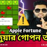 Apple Fortune Online Casino - Online Betting || Online Gambling - Online Earning Apps