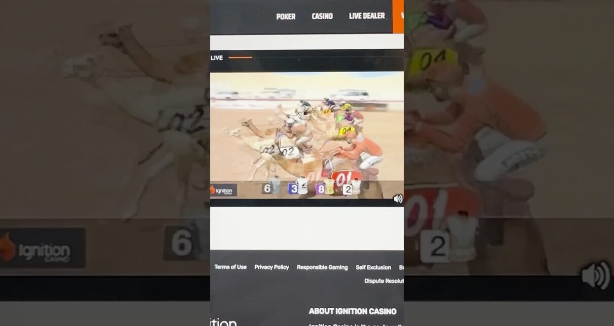 Betting 0 on Camels 🐪 🤣