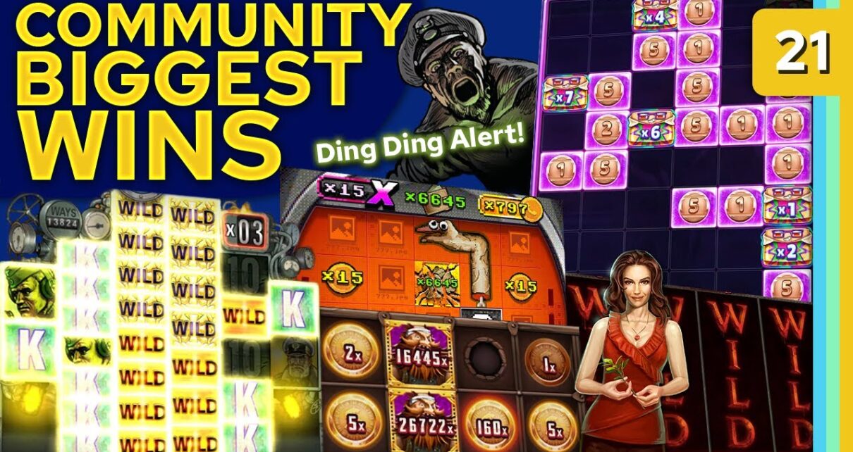 Community Biggest Wins – / 2024