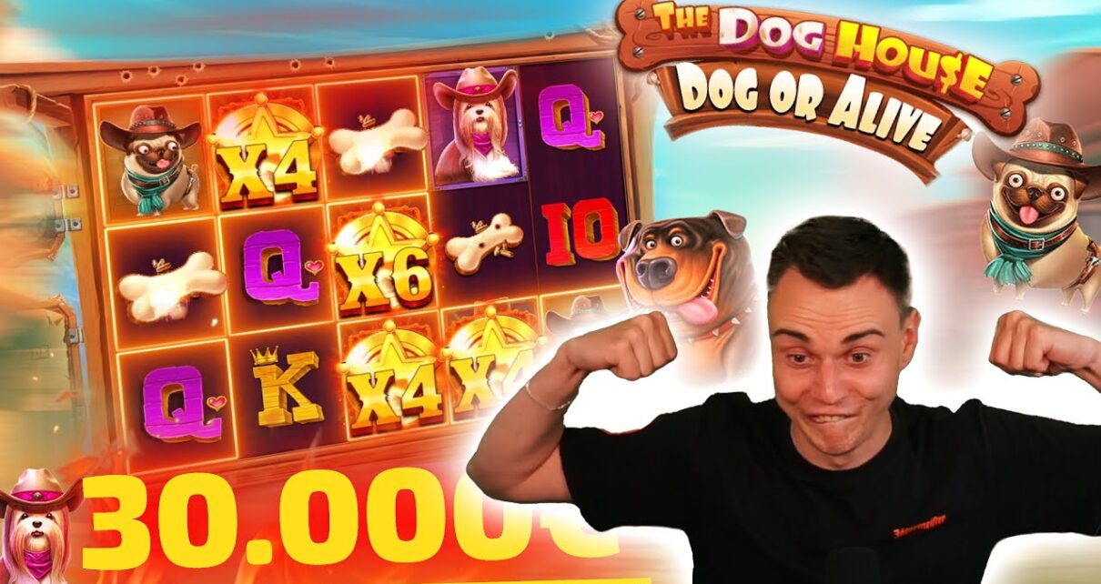 MEGA GEWINNE auf 50€ beim neuen DOG HOUSE! 🐾💥 | Casino Slot Stream Highlights