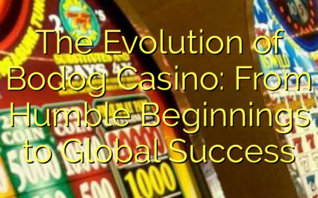 The Evolution of Bodog Casino: From Humble Beginnings to Global Success