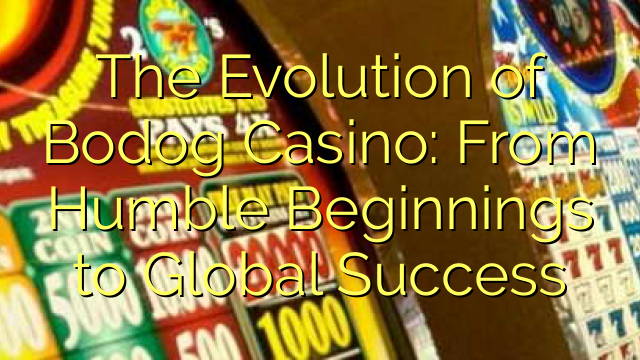 The Evolution of Bodog Casino: From Humble Beginnings to Global Success