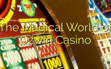 The Magical World of Ozwin Casino