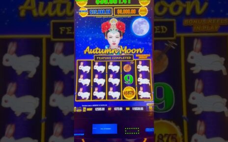 5 BET 🤑 DOUBLE BONUS ON AUTUMN MOON!  #DragonLink #AutumnMoon #SlotMachine #Jackpot #Gambling