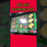 BIG WIN BURNING HOT FRUITS BET 2500 PĂCĂNELE