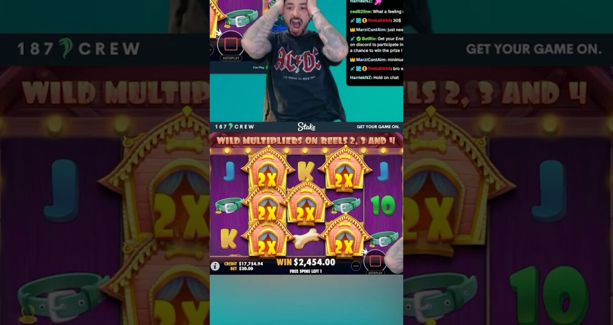 CRAZY SET UP ON DOG HOUSE !! #stake #187crew #casino #gamble #casinostream #kick #slots #crypto