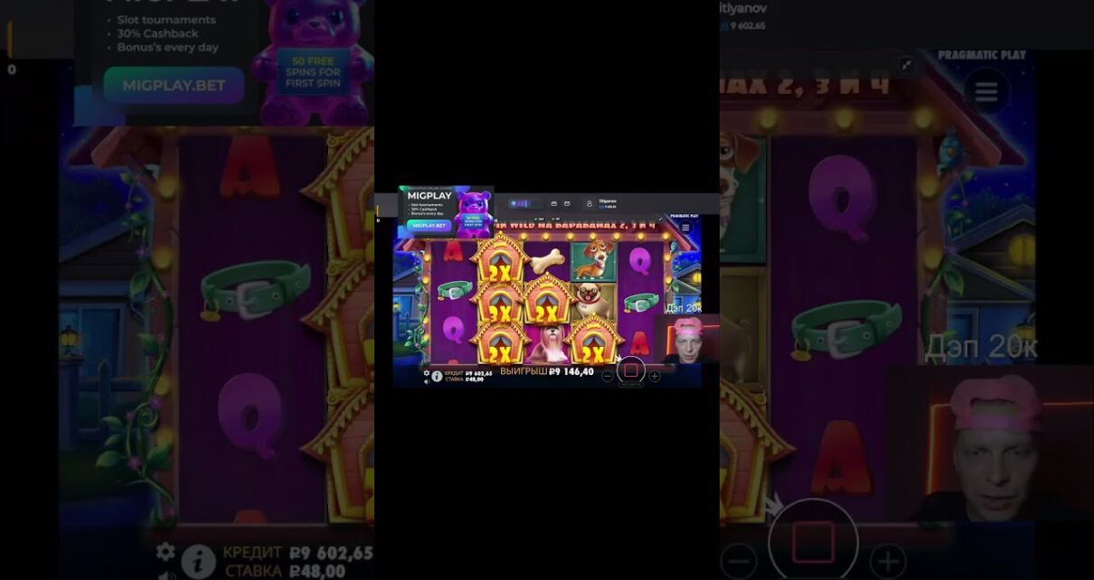 Dog House slots слоты #заносынедели
