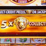 I Started a Buffalo Gold Bonus with 15 Buffalo Heads—But What Will It Pay? | Vegas Casino Slots