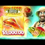 LOCURAA🤑 ESTO ME PAGO LA BIG BASS XTREME🎰 CASINO ONLINE ARGENTINA 2024