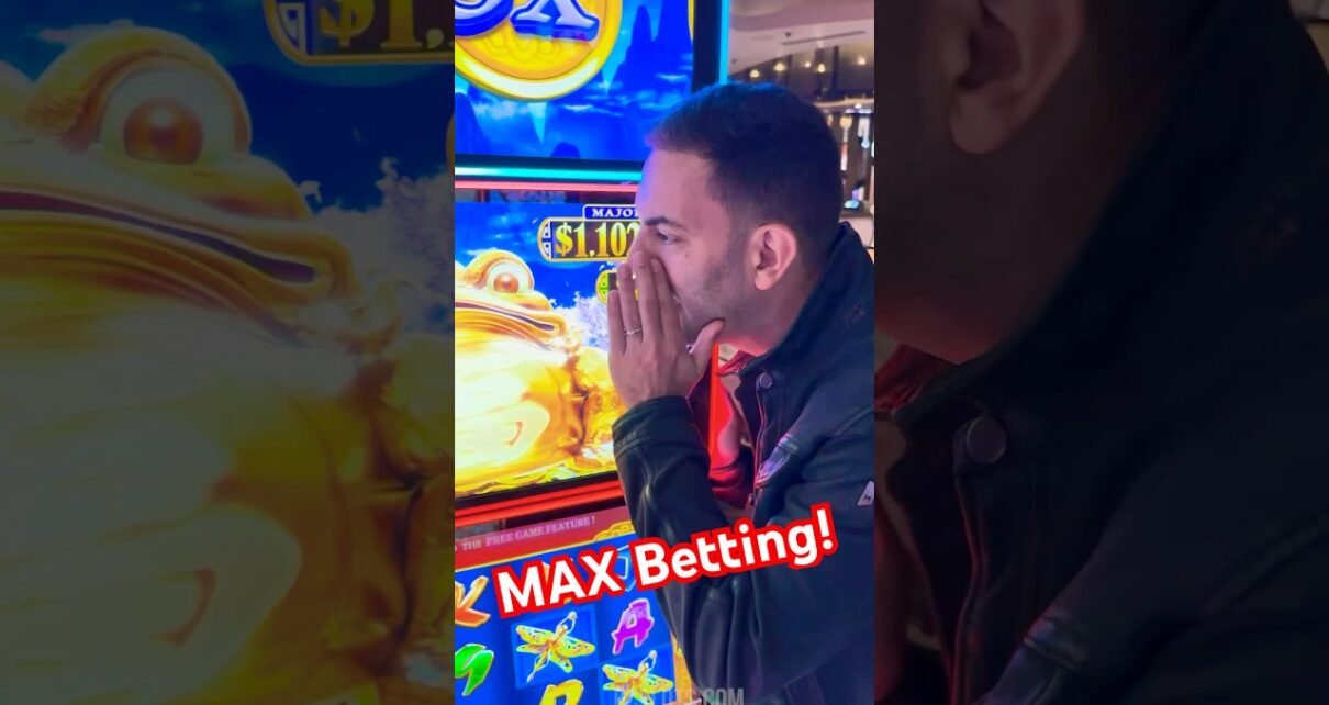 MAX Bet for the Toad 🐸 MAX Bet for the Toad 🐸