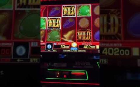 Mega Win bei Multi Wild 243! #casino #gambling #jackpot #spielothek #spielbank #bigwin