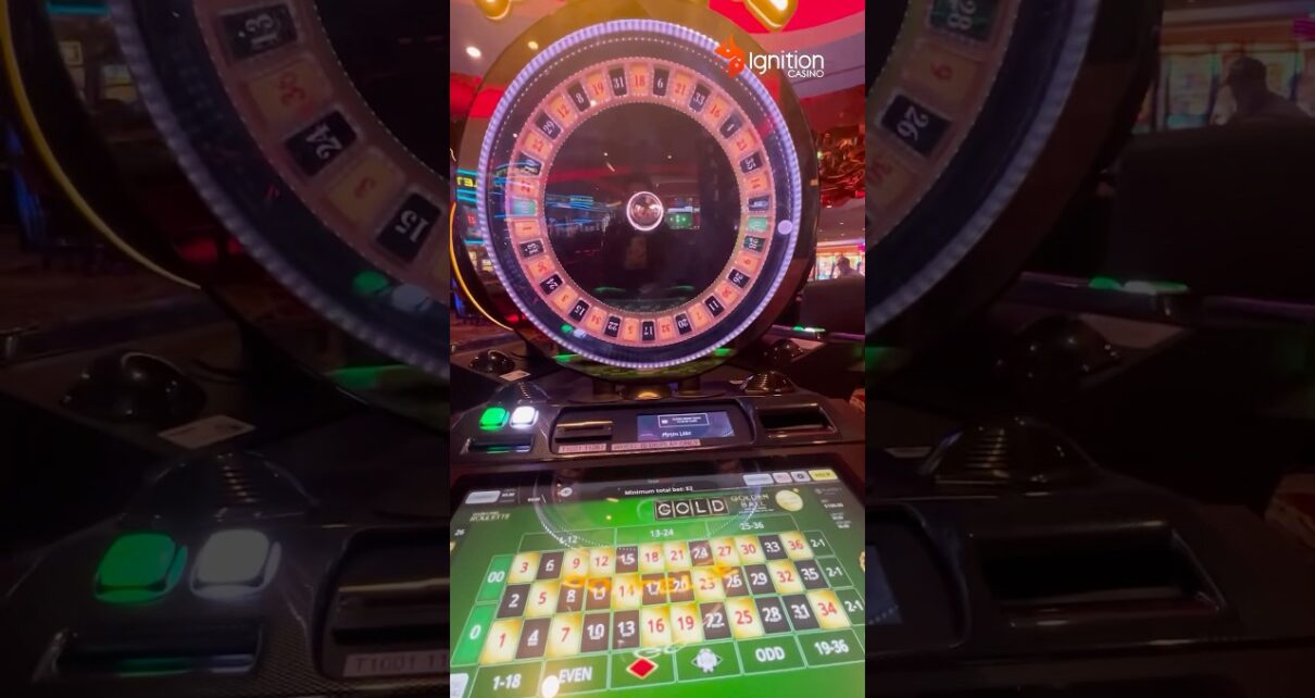 Playing a sketchy roulette wheel 🤣