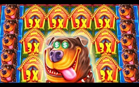 QUE LE PASA A LA DOG HOUSE 😱 CASINO ONLINE ARGENTINA 🔥