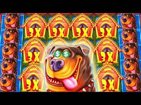 QUE LE PASA A LA DOG HOUSE 😱 CASINO ONLINE ARGENTINA 🔥