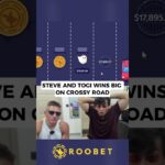 STEVE AND TOGI WINS BIG ON CROSSY ROAD #roobet #highlights