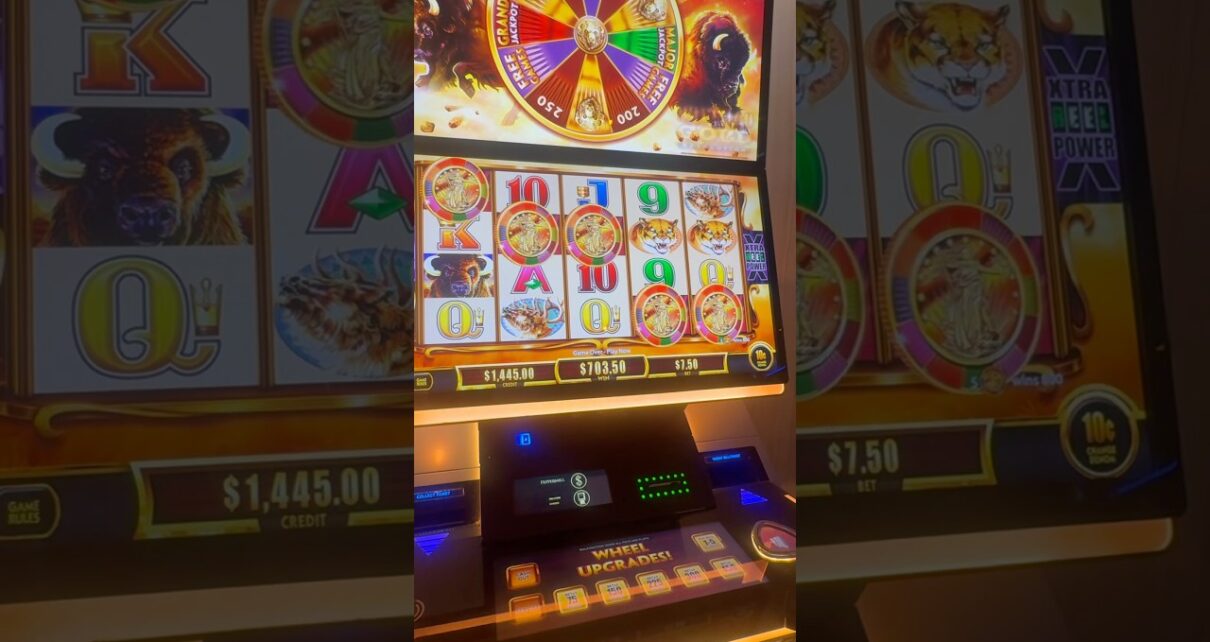 SUPER RARE 5 COINS ON BUFFALO GOLD REVOLUTION SLOT!!