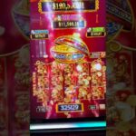 SUPER RARE FULL SCREEN JACKPOT #casino #slot #gambling #jackpot