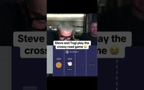 Steve and Togi play the crossy road game