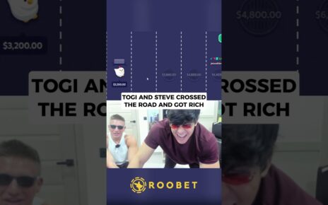 Togi And Steve Crossed The Road And Got Rich! #roobet #highlights