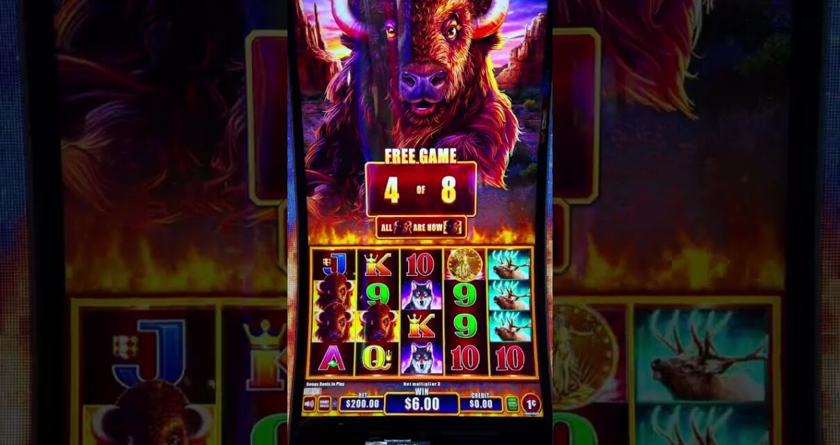Buying a 0 Instant Feature on the New Buffalo Power Pays – Big Win! Buying a 0 Instant Feature on the New Buffalo Power Pays – Big Win!