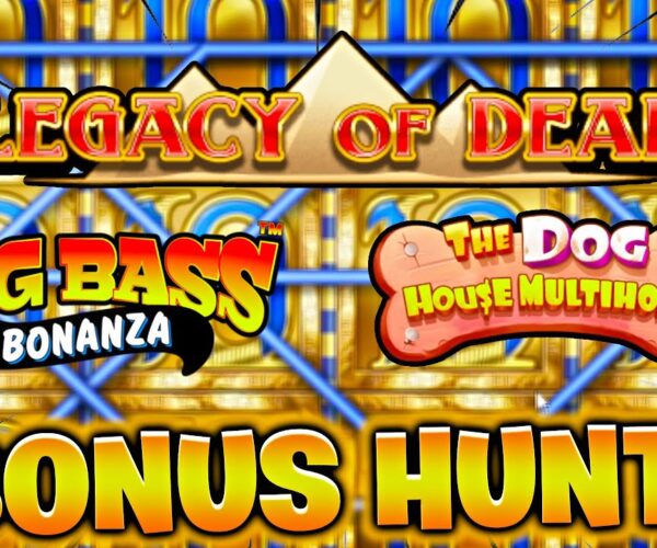 Viewer Predicts All Free Games! Big Win Bonus Hunt