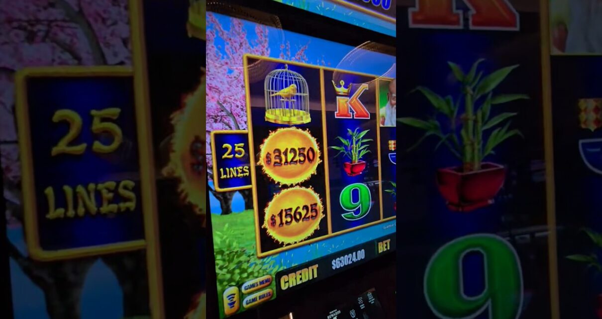 First ever ,125 spin on Dragon Link big win! First ever ,125 spin on Dragon Link big win!