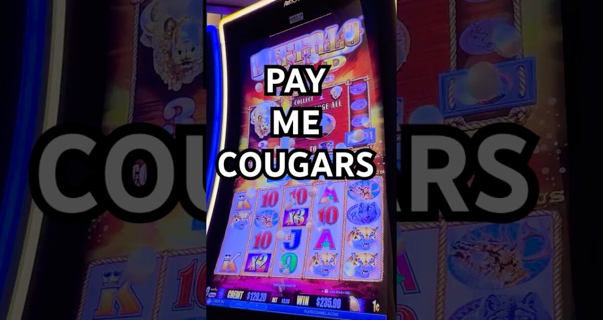 Big Win: Maximum Bet Cougars Pay Me Big Win: Maximum Bet Cougars Pay Me